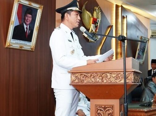 Bupati Mhd Fadhil Arief Sampaikan Pidato Pasca Pelantikan