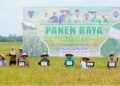 Bupati Fadhil Arief Ikut Panen Raya di Desa Terusan   
