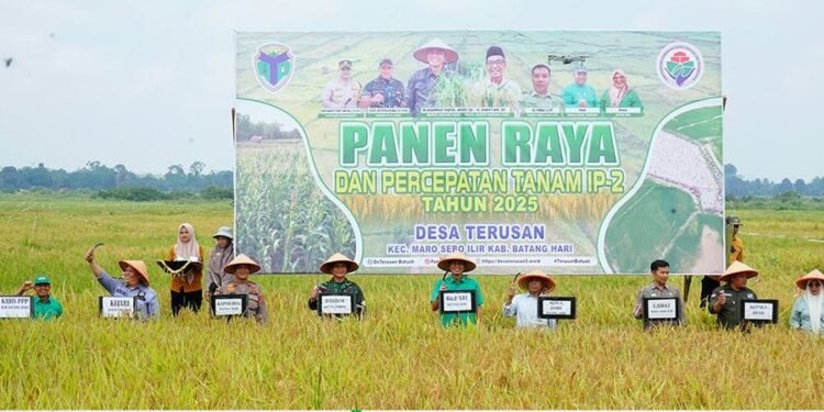 Bupati Fadhil Arief Ikut Panen Raya di Desa Terusan