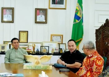 Bupati Fadhil Arief Terima Kunjungan Perusahaan Everbright Environment dari Negara Cina