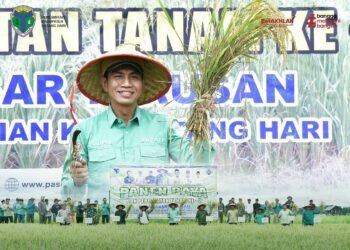 Bupati Fadhil Arief Melakukan Panen Raya Padi