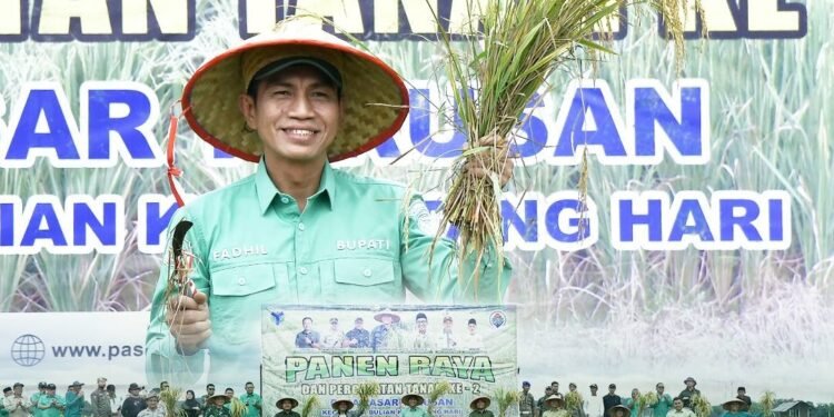 Bupati Fadhil Arief Melakukan Panen Raya Padi