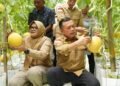 Bupati Tanjab Timur  Bersama Gubernur Jambi  Panen Perdana Melon   