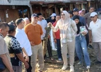 Bupati Dillah Tinjau Jembatan Ambruk di Sabak Timur