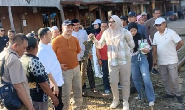 Bupati Dillah Tinjau Jembatan Ambruk di Sabak Timur