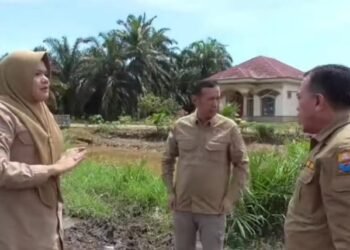 Bupati dan Wakil Bupati Tanjab Timur Dampingi Gubernur Jambi Meninjau Jalan Rusak