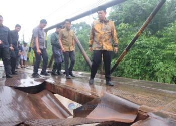 Bupati Muaro Jambi Tinjau Kerusakan Jembatan di Desa Air Hitam