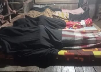 Empat Orang Penambang Emas Illegal Meninggal Tragis