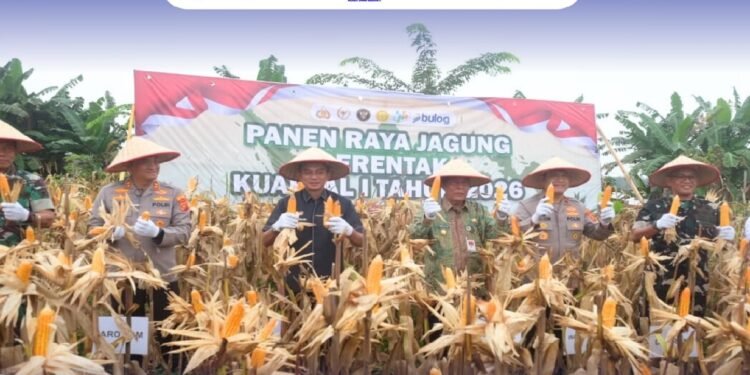 Wabup Muaro Jambi Hadiri Panen Jagung Serentak