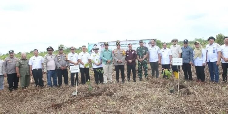 Wabup Tanjab Timur Melaksakan Penanaman Pohon Serentak