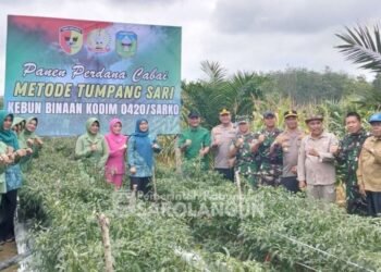 Bupati Hurmin Bersama Jajaran Forkopimda Melakukan Panena Perdana Cabai