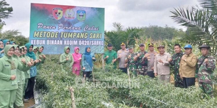 Bupati Hurmin Bersama Jajaran Forkopimda Melakukan Panena Perdana Cabai