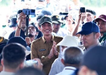 Bupati Fadhil Arief Dampingi Wamen Pertanian Penanaman Padi Serentak