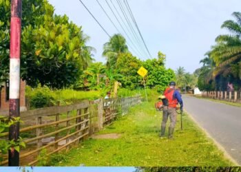 Dinas PUPR Jambi Melakukan Tebas Bayang di Semua Ruas Jalan Provinsi Menjelang Mudik Lebaran.