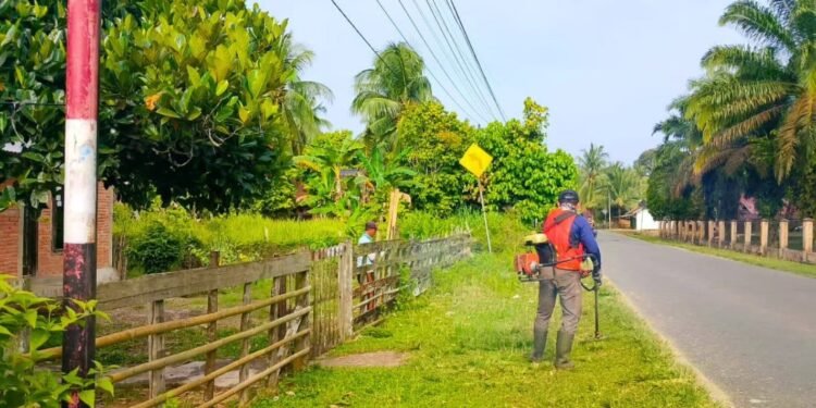 Dinas PUPR Jambi Melakukan Tebas Bayang di Semua Ruas Jalan Provinsi Menjelang Mudik Lebaran.