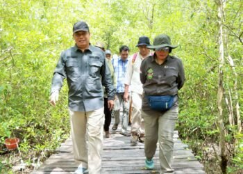 Wabup Katamso Sambut Tim Verifikasi Kementerian Kehutanan