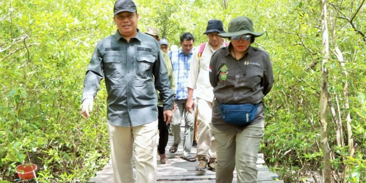 Wabup Katamso Sambut Tim Verifikasi Kementerian Kehutanan