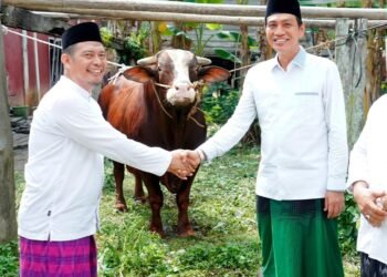 Bupati Fadhil Arief dan Keluarga Sholat Idul Adha di Masjid Asy-Syuhada