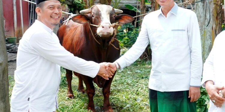 Bupati Fadhil Arief dan Keluarga Sholat Idul Adha di Masjid Asy-Syuhada
