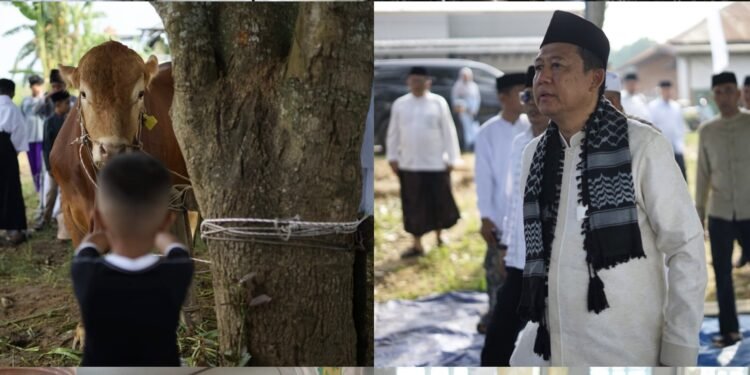 Bupati Muaro Jambi Serahkan Hewan Kurban dari Presiden RI