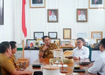 Bupati Fadhil Arief Menerima Kunjungan BPKP